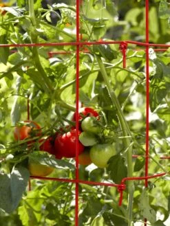 Tomato Cages, Set Of 4 -Garden Supply Store 34182 592