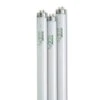 4' SunLite® T-8 Bulbs, Set Of 3