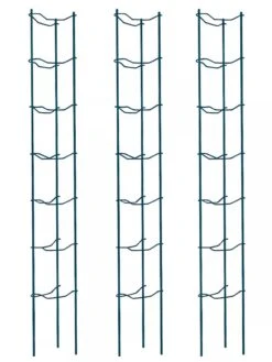 Tomato Ladders, Set Of 3 -Garden Supply Store 38184 002E psd