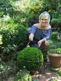 Jardin Bird Cage Support, 26" -Garden Supply Store 39 520 02IN tif