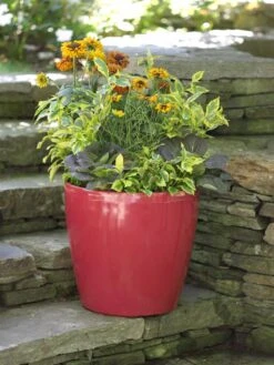 Viva Round Self-Watering Rolling Planter, 17.25” Diameter -Garden Supply Store 39326 046 tif