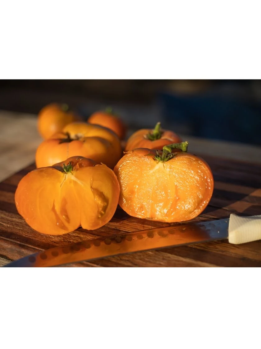 Dwarf Tomato, Uluru Ochre Organic Seeds 1 Dwarf Tomato, Uluru Ochre Organic Seeds