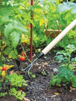 Gardener's Lifetime Long-Handled Double Tool -Garden Supply Store 3 4 crop 8592107 2460 tif