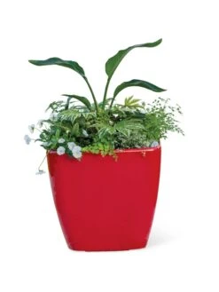 Viva Square Self-Watering Rolling Planter, 20" Diameter, Set Of 2 -Garden Supply Store 3 4 crop 8612930 0037 tif