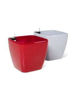 Viva Square Self-Watering Rolling Planter, 20" Diameter, Set Of 2 -Garden Supply Store 3 4 crop 8612930 0104