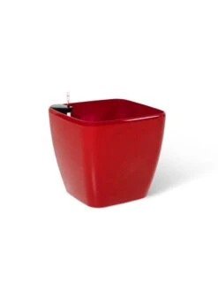 Viva Square Self-Watering Rolling Planter, 20" Diameter, Set Of 2 -Garden Supply Store 3 4 crop 8612930 0105