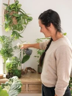 Indoor Plant Mister -Garden Supply Store 3 4 crop 8612962 3792