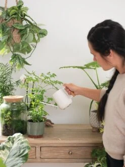 Pinpoint Indoor Watering Can -Garden Supply Store 3 4 crop 8612963 3774