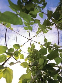 Jardin Tower -Garden Supply Store 3 4 crop 8612997 0033