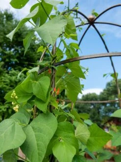 Jardin Tower -Garden Supply Store 3 4 crop 8612997 0058