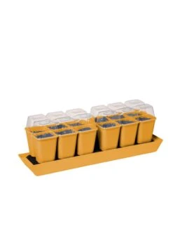 Gardener's Best® Humidity Dome, Set Of 2 -Garden Supply Store 3 4 crop 8613067 5879 tif