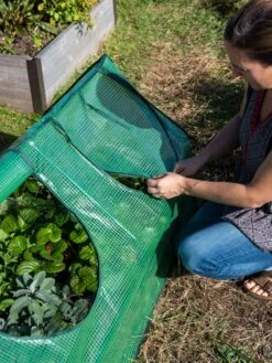 Multi Cloche -Garden Supply Store 3 4 crop 8613213 0245