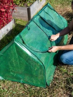 Multi Cloche -Garden Supply Store 3 4 crop 8613213 0250