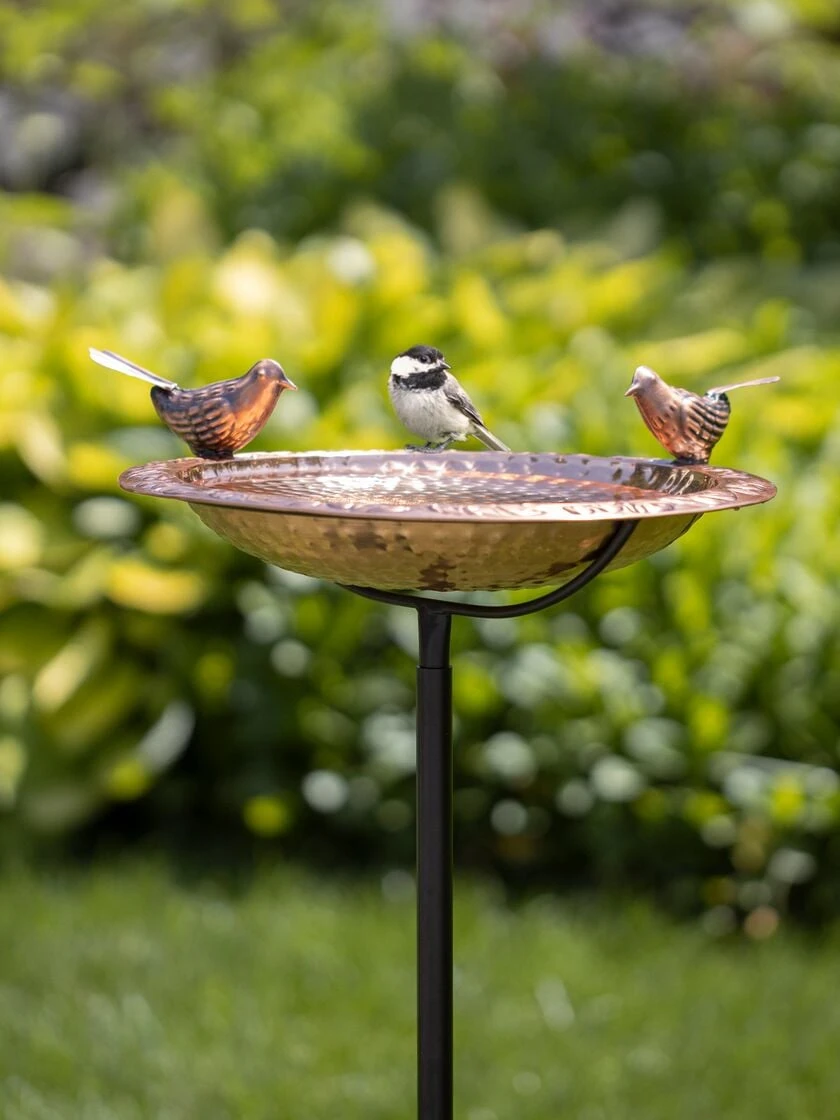 Pure Copper Bird Bath With Two Copper Birds And Multipronged Garden Pole 1 Pure Copper Bird Bath With Two Copper Birds And Multipronged Garden Pole