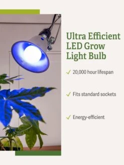 Miracle LED® Grow Light Bulb, Blue -Garden Supply Store 3 4 crop Miracle Bulb Blue 1