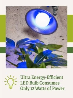 Miracle LED® Grow Light Bulb, Blue -Garden Supply Store 3 4 crop Miracle Bulb Blue 2