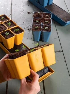 Coco Coir Seed Starting Mix -Garden Supply Store 40 135 6192