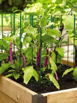 Pepper And Eggplant Stakes, Set Of 3 5 Pepper And Eggplant Stakes, Set Of 3 -Garden Supply Store 40308 2116 tif