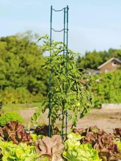 Stacking Tomato Ladders, Set Of 6 -Garden Supply Store 40309 100 tif
