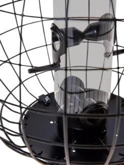 Mixed Seed Globe Cage Feeder 6 Mixed Seed Globe Cage Feeder -Garden Supply Store 8586659 6400