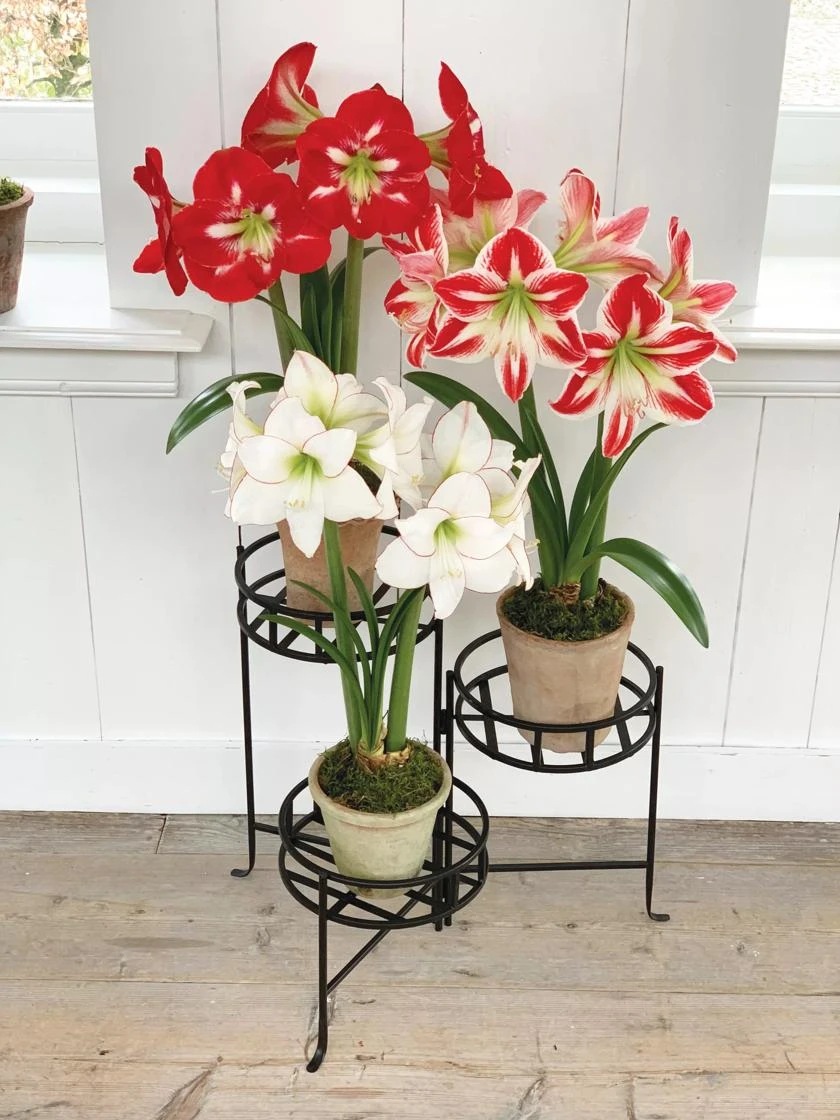 Nesting Triple Pot Stand 1 Nesting Triple Pot Stand