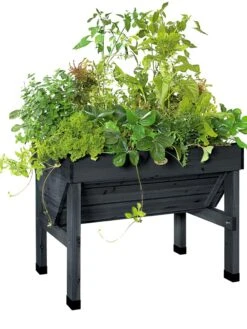 Compact VegTrug® Patio Garden 7 Compact VegTrug® Patio Garden -Garden Supply Store 8586919 001 tif