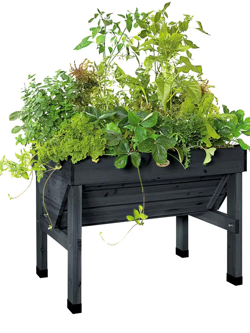 Compact VegTrug® Patio Garden 4 Compact VegTrug® Patio Garden - Image 4