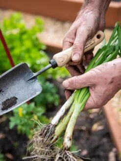 Gardener's Lifetime Trowel -Garden Supply Store 8586972 3286 tif