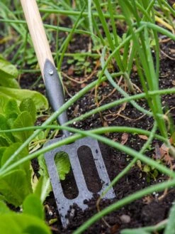 Gardener's Lifetime Spork -Garden Supply Store 8586973 2383 tif