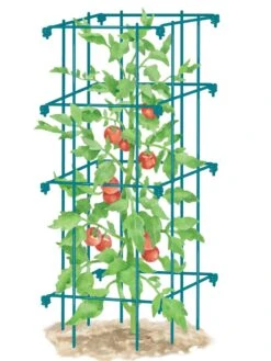 Tomato Cage, Single 6 Tomato Cage, Single -Garden Supply Store 8587039 TomatoCage BLUE tif