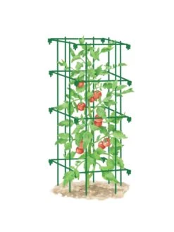 Tomato Cage, Single 7 Tomato Cage, Single -Garden Supply Store 8587039 TomatoCage GRN tif