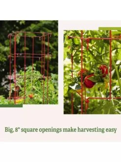 Tomato Cages, Set Of 4 -Garden Supply Store 8587040 2