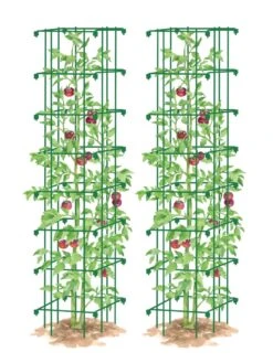 Tomato Towers, Set Of 2 7 Tomato Towers, Set Of 2 -Garden Supply Store 8587041 0006 GRN tif