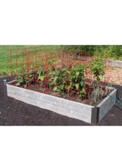 Pepper And Eggplant Cages, Set Of 3 -Garden Supply Store 8587048 6008 3 4