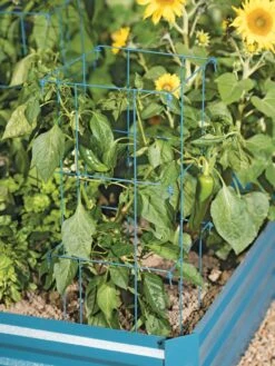 Pepper And Eggplant Cages, Set Of 3 -Garden Supply Store 8587048 9792 tif