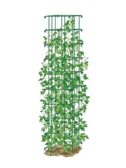 Bean Tower -Garden Supply Store 8587060 0008 GRN tif