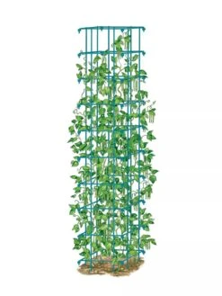 Bean Tower -Garden Supply Store 8587060 BeanTower BLUE