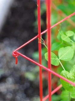 Tall Expandable Pea Trellis -Garden Supply Store 8587061 010 tif