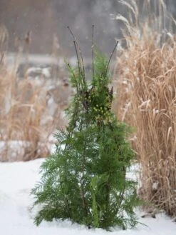 Jardin Pot Trellis 9 Jardin Pot Trellis -Garden Supply Store 8587120 009 tif