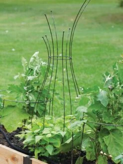 Jardin Pot Trellis 8 Jardin Pot Trellis -Garden Supply Store 8587120 7037 tif