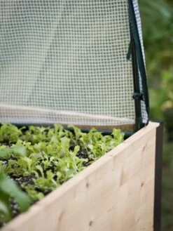 Protection Frame & Covers, 2' X 4' 8 Protection Frame & Covers, 2' X 4' -Garden Supply Store 8587631 265 tif