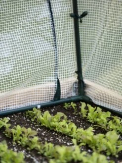 Protection Frame & Covers, 2' X 4' 10 Protection Frame & Covers, 2' X 4' -Garden Supply Store 8587631 271 tif