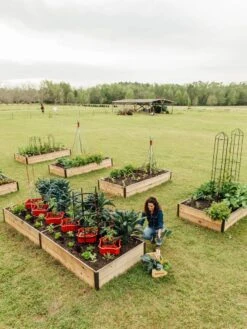 Deep Root Raised Beds, 14" Deep 4' Wide -Garden Supply Store 8587813 505 tif