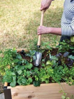 Gardener's Lifetime Raised Bed Trowel 5 Gardener's Lifetime Raised Bed Trowel -Garden Supply Store 8588014 4084 tif