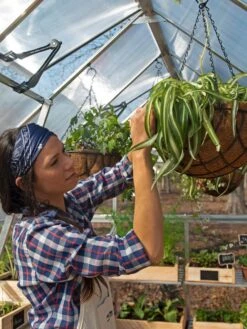 Canopia® By Palram Balance Greenhouse, 8' X 12' 29 Canopia® By Palram Balance Greenhouse, 8' X 12' -Garden Supply Store 8588023 07V jpg