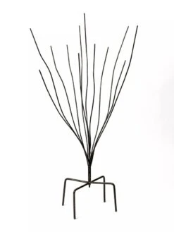 Bottle Bush -Garden Supply Store 8588047 0697