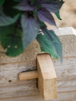 Farmstead Cedar Raised Garden Beds, 2' -Garden Supply Store 8588144 12V tif