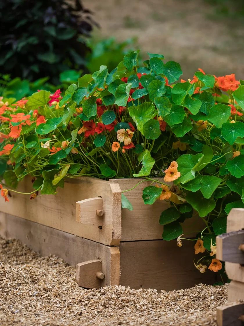 Farmstead Cedar Raised Garden Beds, 4' 1 Farmstead Cedar Raised Garden Beds, 4'