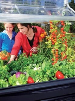 Canopia® By Palram Plant Inn™ Raised Bed Greenhouse, 4' X 4' -Garden Supply Store 8588308 03V tif