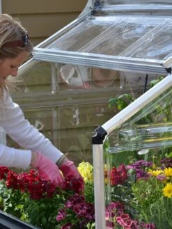 Canopia® By Palram Plant Inn™ Raised Bed Greenhouse, 4' X 4' -Garden Supply Store 8588308 04V tif